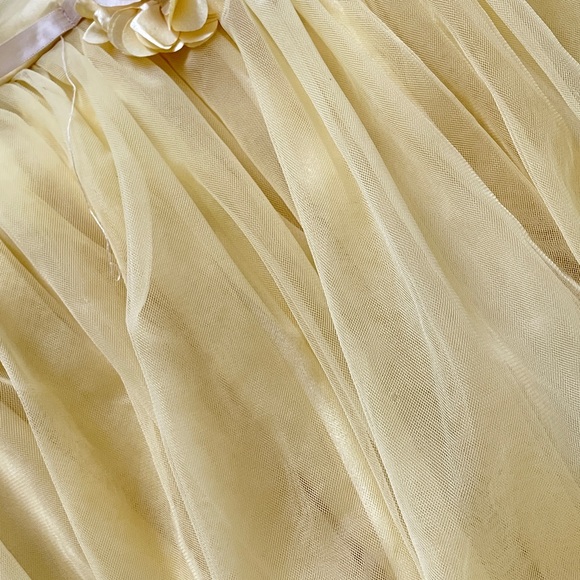 Fresh Yellow Belle Dress with Lace detailing- Girls - 4–5years - Used - Picture 11 of 13